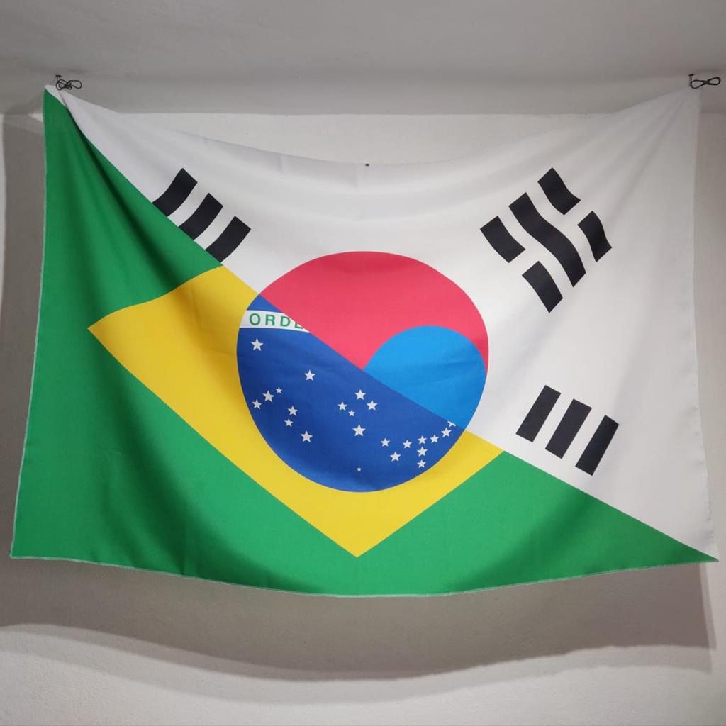 Bandeira Pais Coreia Do Sul E Brasil X Shopee Brasil