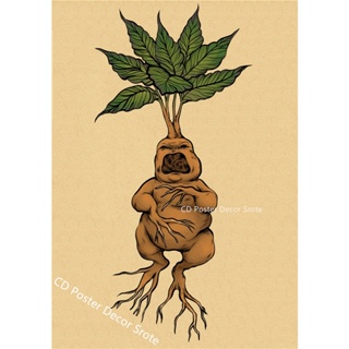 Mandrake planta poster bruxaria herbologia plantas pintura da lona