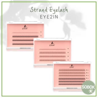[EYE2IN] Strand Eyelash Cordão De Cílios