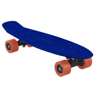 Skate Infantil Adulto Mini Longboard Cruiser Lançamento Nfe - Pro