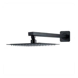 Ducha Chuveiro Preto Inox 20x20 Com Braço 30cm