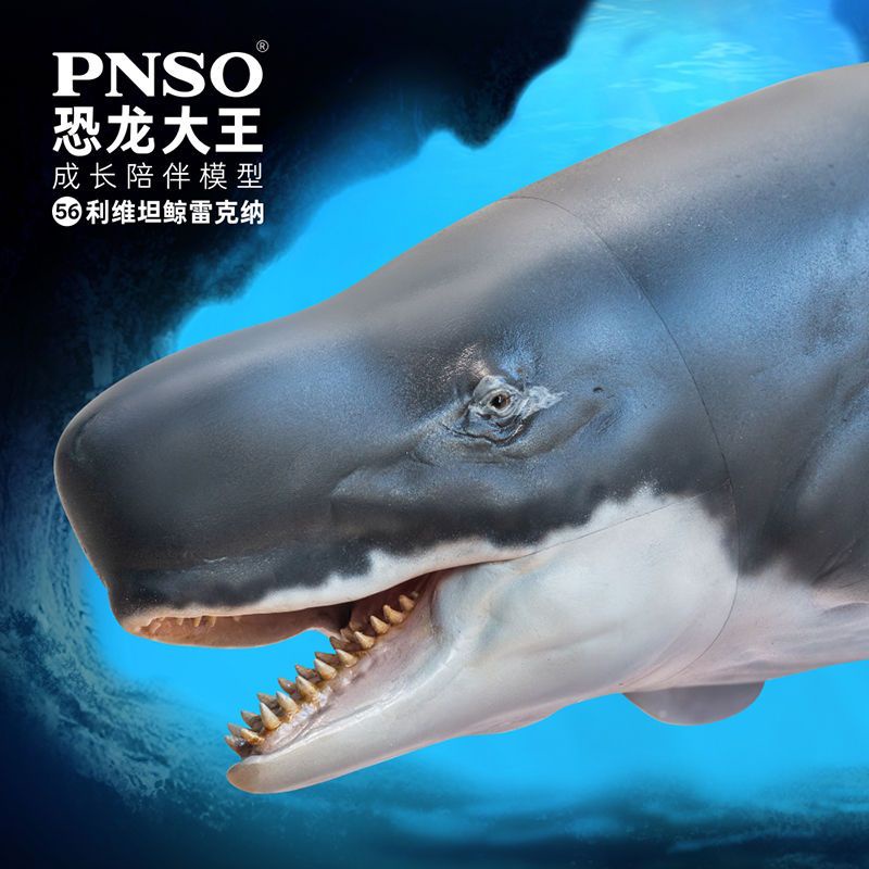 P PNSO Dinossauro King Acompanhamento do Crescimento Modelo 56 ...