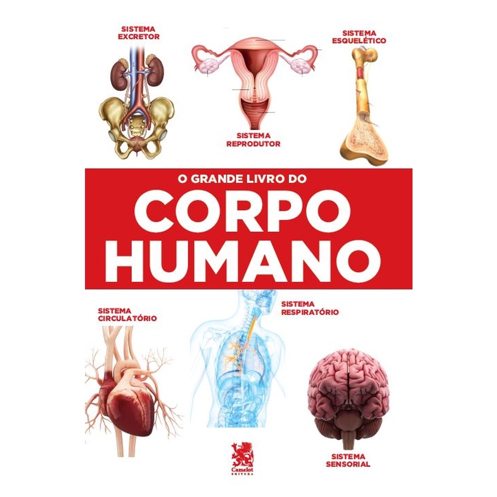 O Grande Livro do Corpo Humano