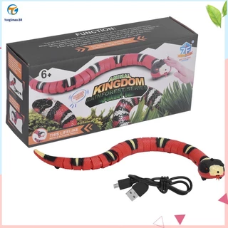 Brinquedo De Cobra De Gato De Controle Remoto De 39cm Bateria Recarregável Embutida , Com sensor Inteligente Brinquedos Eletrônicos Interativos