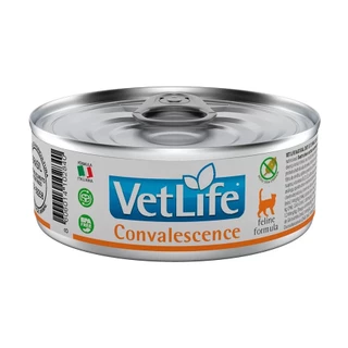 Ração Úmida Para Gatos Farmina Vet Life Convalescence 85g
