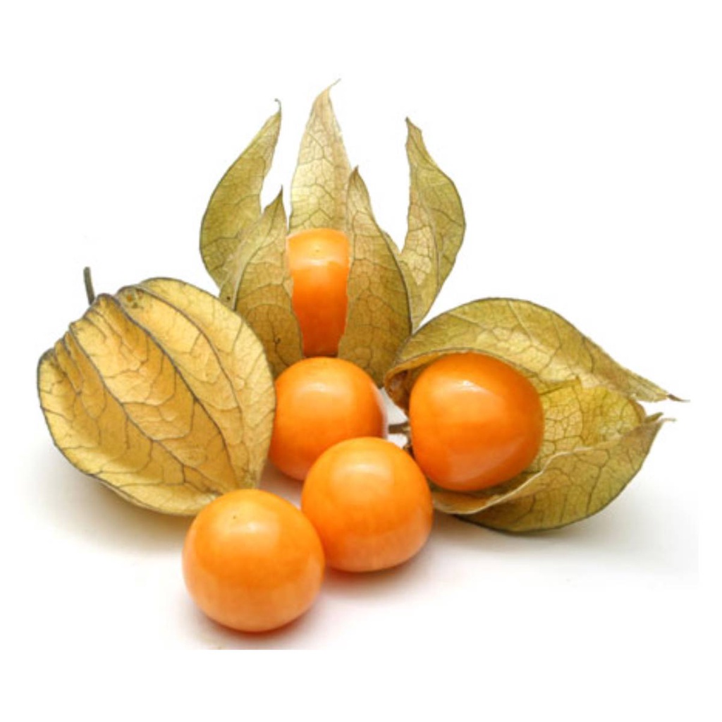 Fisális GoldenBerry - imagem 2