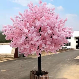 flores de cerejeira de ramo curto--y1980--(É mais favorável comprar os pacotes)