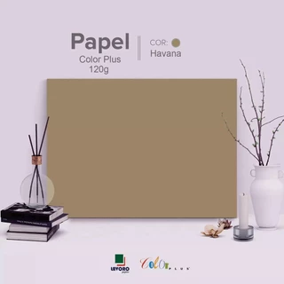 Papel Color Plus 120g 30,5x30,5 - Marrom Claro (Havana) - 30 Folhas