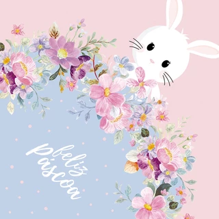 Saco Express 44x44cm para Ovos de 500g a 750g - Fina Flor - 05 unidades - Cromus Páscoa - Rizzo em Oferta na Shopee