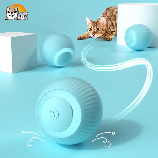 iplusmile 20 Pçs De Fornecimento De Brinquedo De Exercício Interativo  Gatinhos Gatos Brinquedos Teaser Portátil Jogo Interessante Varinha De Jogo