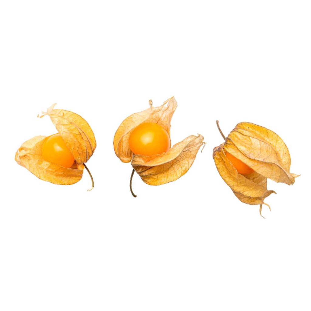 Fisális GoldenBerry - imagem 5