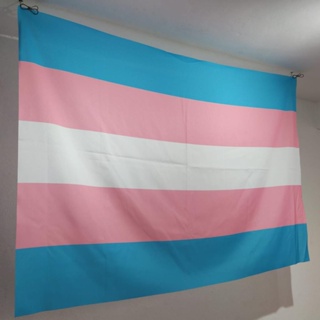 Handheld Trans Flag