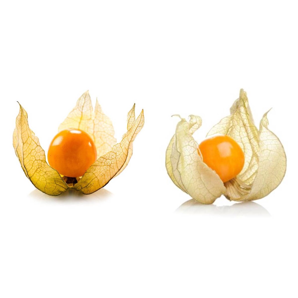 Fisális GoldenBerry - imagem 4