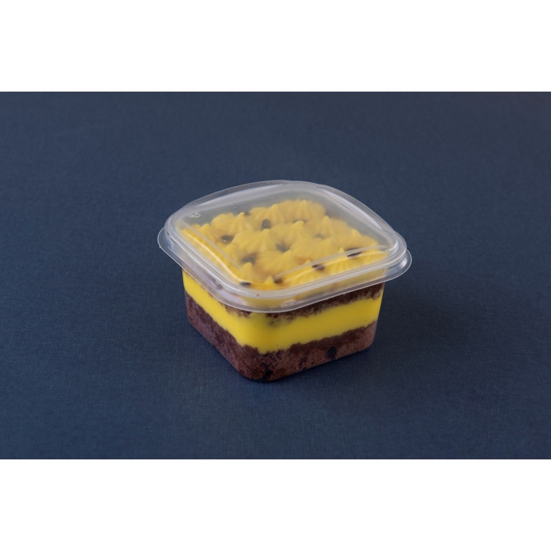 10 Pote Quadrado 150Ml Freezer&Microondas Cristal Pp G375 Galvanotek