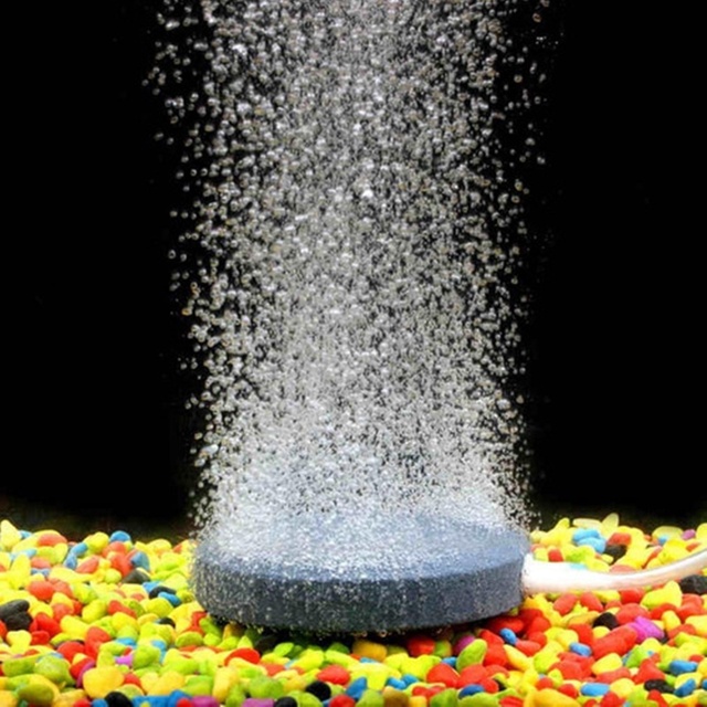 Pedra Porosa Redonda 40x17mm