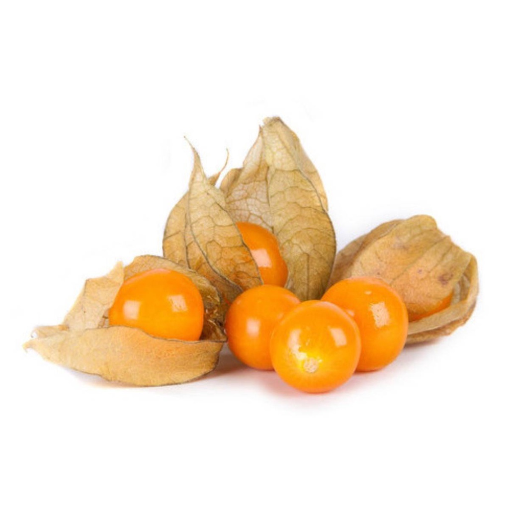 Fisális GoldenBerry - imagem 3