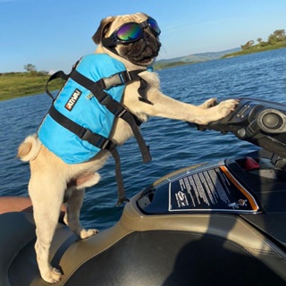 Colete Salva Vidas Pet Vest Ativa Tam P Azul