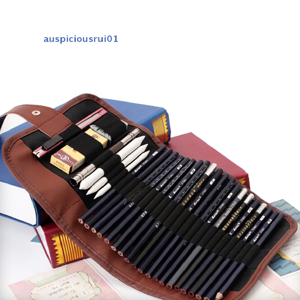 [Auspiciousrui01] 24Pcs Set Esboço Estojo De Lápis De Carvão Vegetal Extensor Saco De Desenho