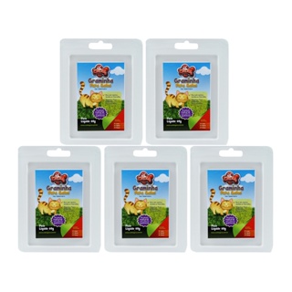 Graminha Para Gatos Cat Dog Petshop 5 un