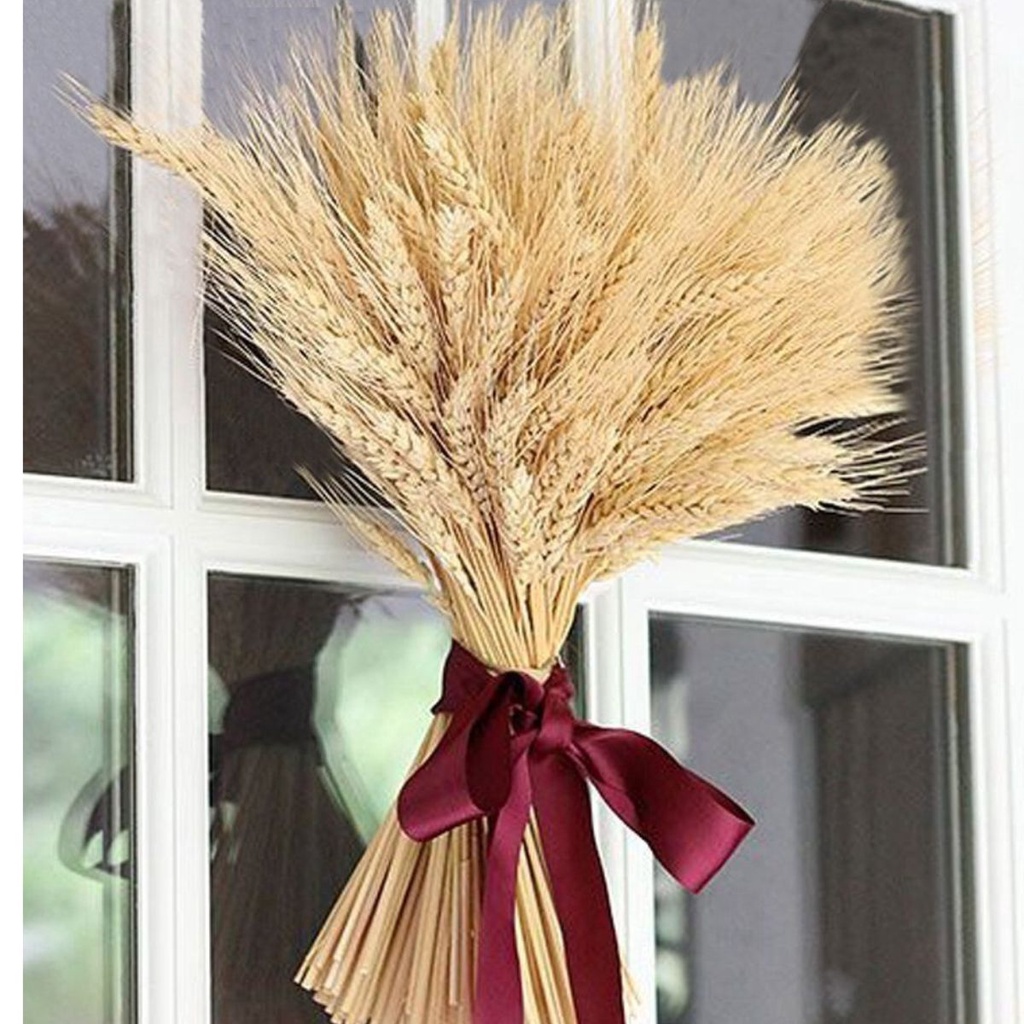 400 Hastes Trigo Seco para Decoração Convites Arranjos | Shopee Brasil