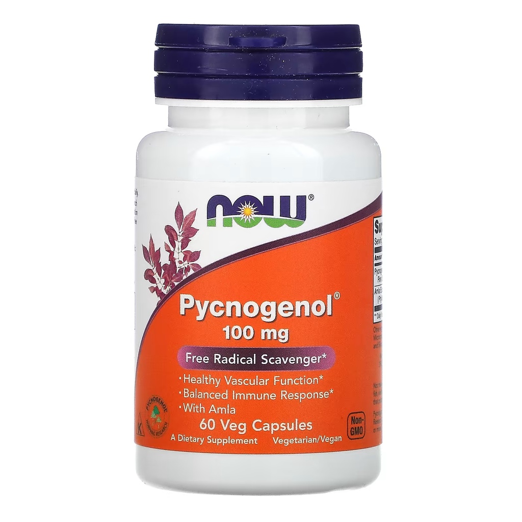 Picnogenol 100mg 60 Capsulas Vegetais - Now Foods | Shopee Brasil