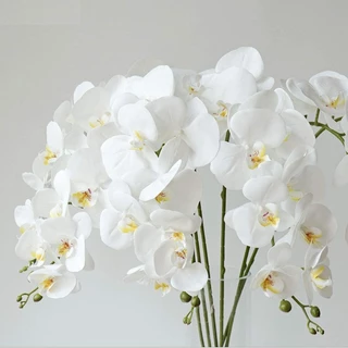 9 Cabeça Orquídea Borboleta Artificial Flores Bouquet De Látex Phalaenopsis De Vaso De Bricolage Para Festa De Casamento Decoração De Casa