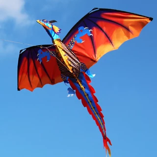 Kite Dragão Voador De Nylon 3D Grande Trtop De Com Linha 100m Brinquedo Esportivo Exterior Familiar .