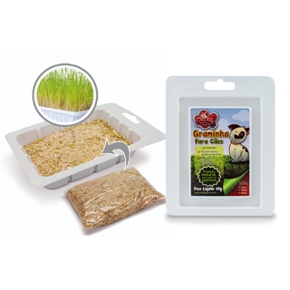 Graminha Para Cães Cat Dog Petshop - 1 Unidade