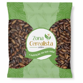 Castanha de Baru Sem Casca Torrada (Granel 500g)