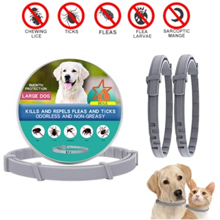 Coleira Antiparasítica Extensível Para Cães De Estimação Personalizada Anti-Pulgas E Mosquito De Carrapato Cachorro Gato Grande