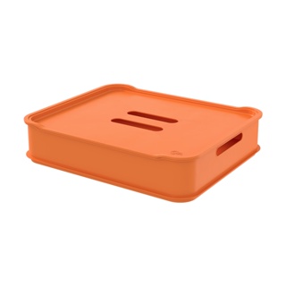 Cesta Organizadora com Tampa Maxi Coza Fit 38 x 31,6 x 8,4 cm Laranja Pepper