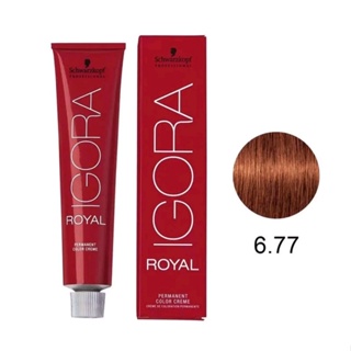 IGORA Royal Profissional de cabelo Tinta Tintura Para Cabelos Creme tinta  igora 6.77/7.77/8.77/9.7 pomada colorida para - Escorrega o Preço