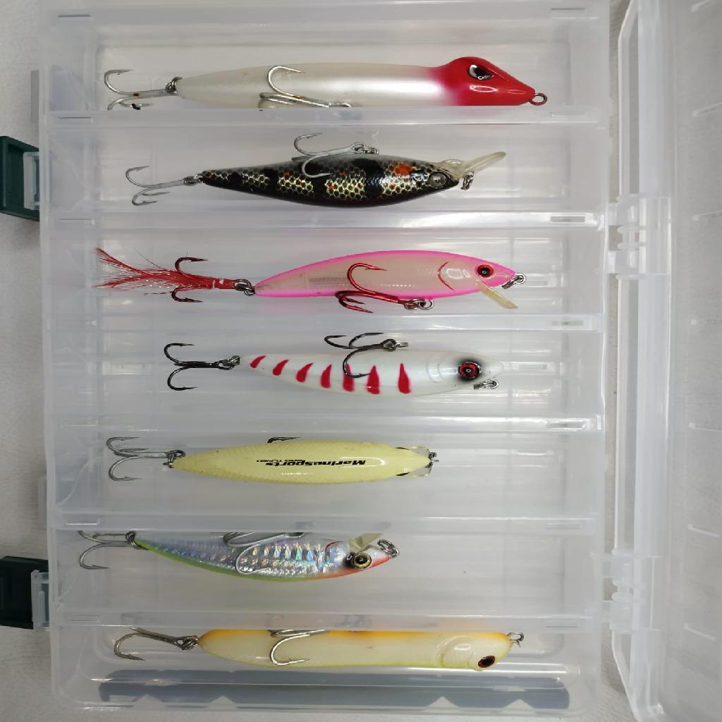 Estojo Organizador Para Iscas Artificiais Bait Box Hs326