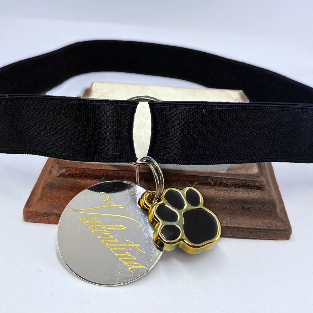 Coleira Bonita Lisa Elástica e Plaqueta Identificação Nome e Telefone Cachorro Médio e Grande Porte