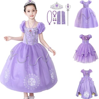 Fantasia para meninas, vestido de princesa sofia para carnaval, dia das  bruxas, cosplay para festa, manga bufante roxa, desfile, para meninas