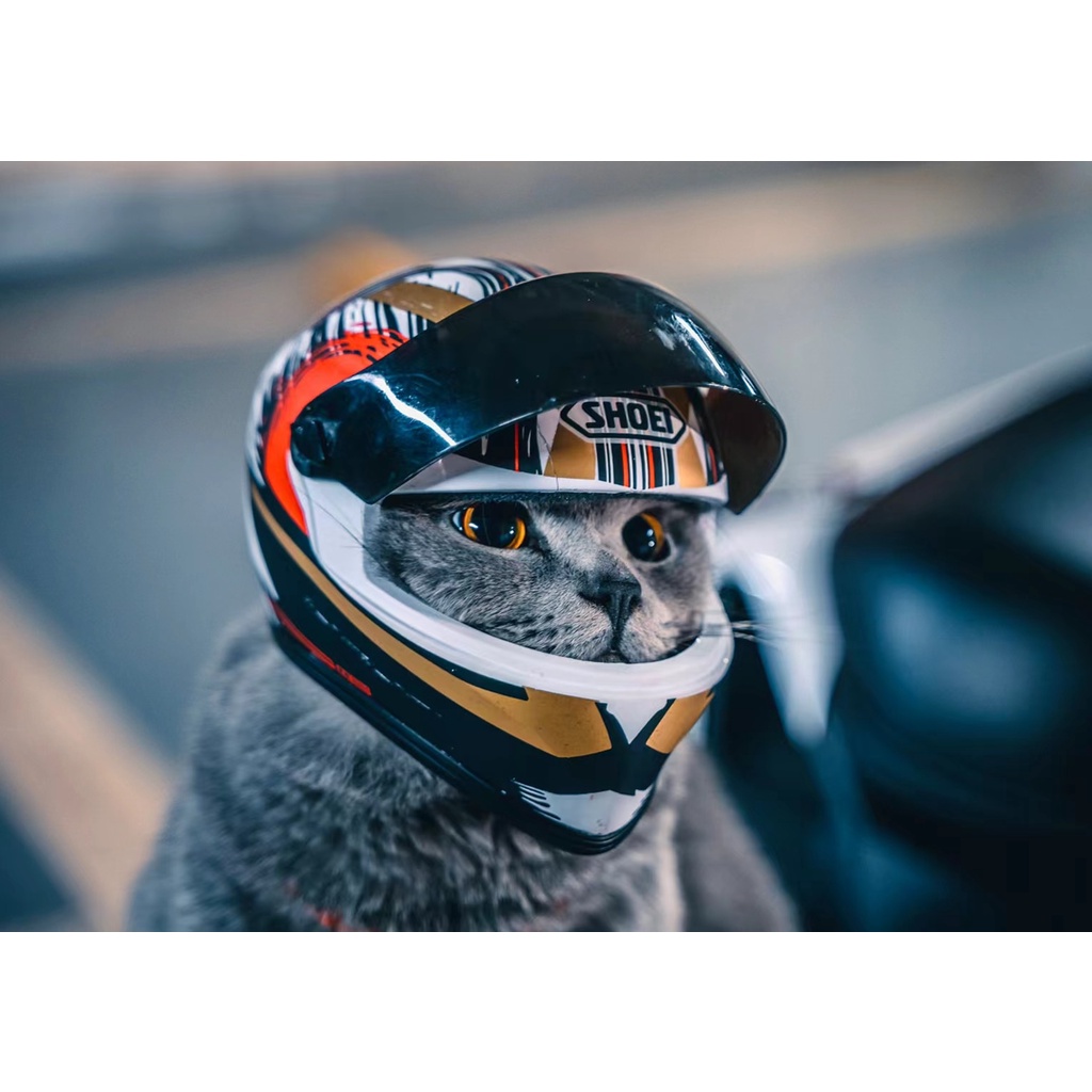 Capacetes Para Animais De Estimação Gatos