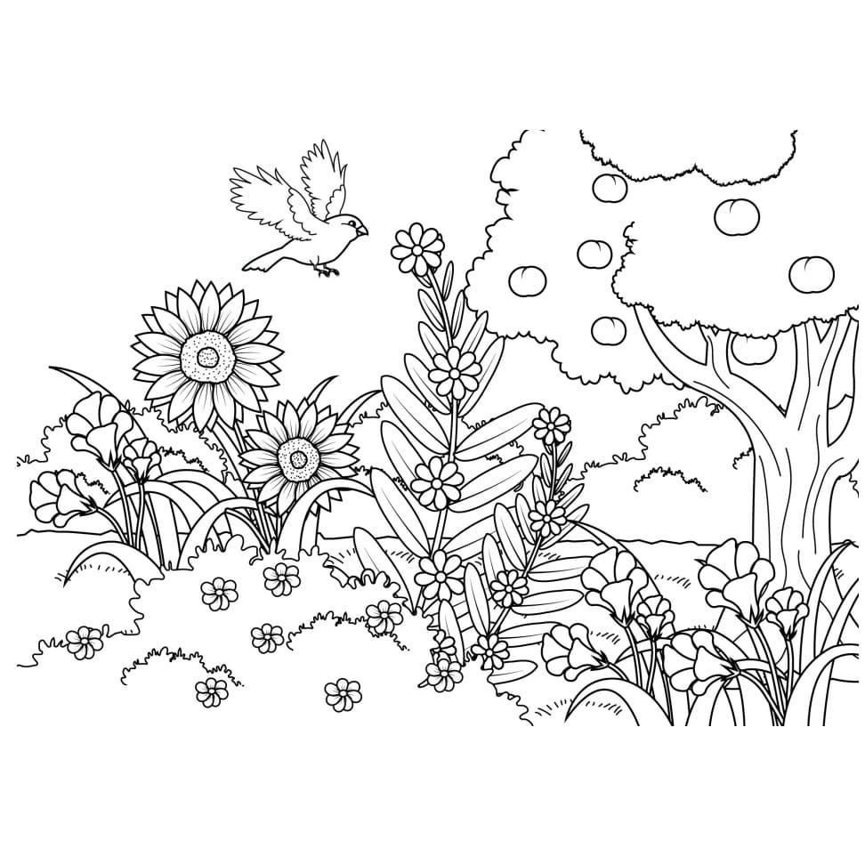 Desenhos para colorir e pintar, desenho para pintar infantil 