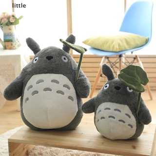 Totoro teddy sale