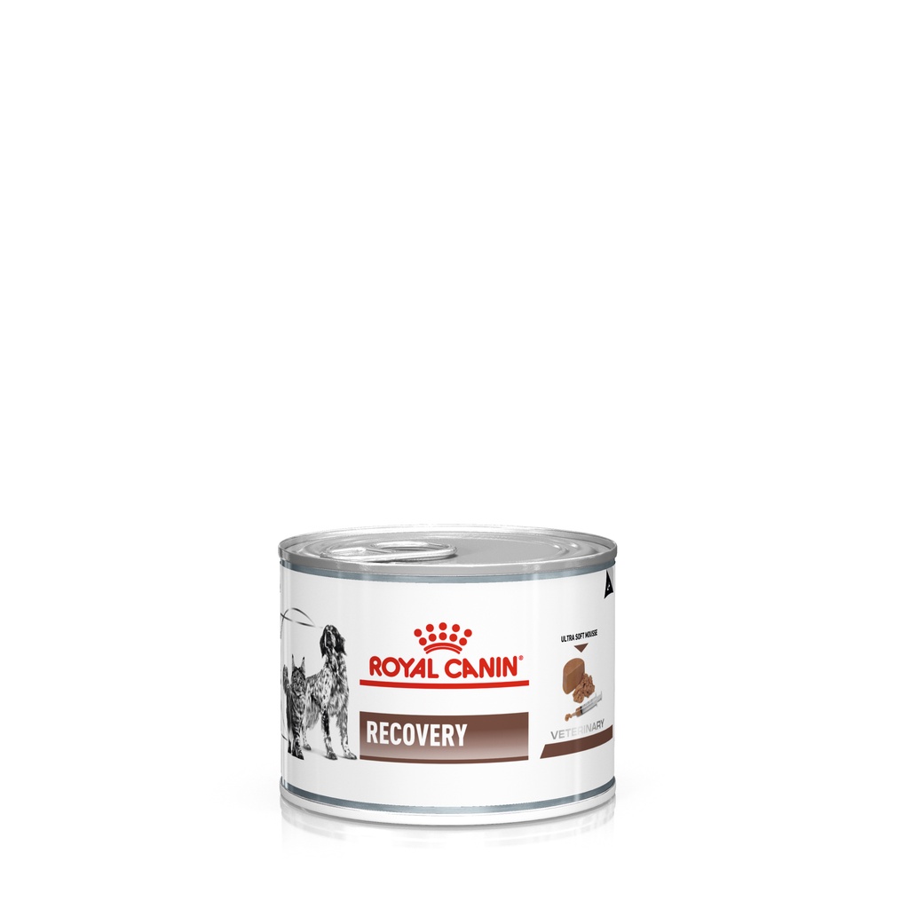 royal canin recovery 195gr