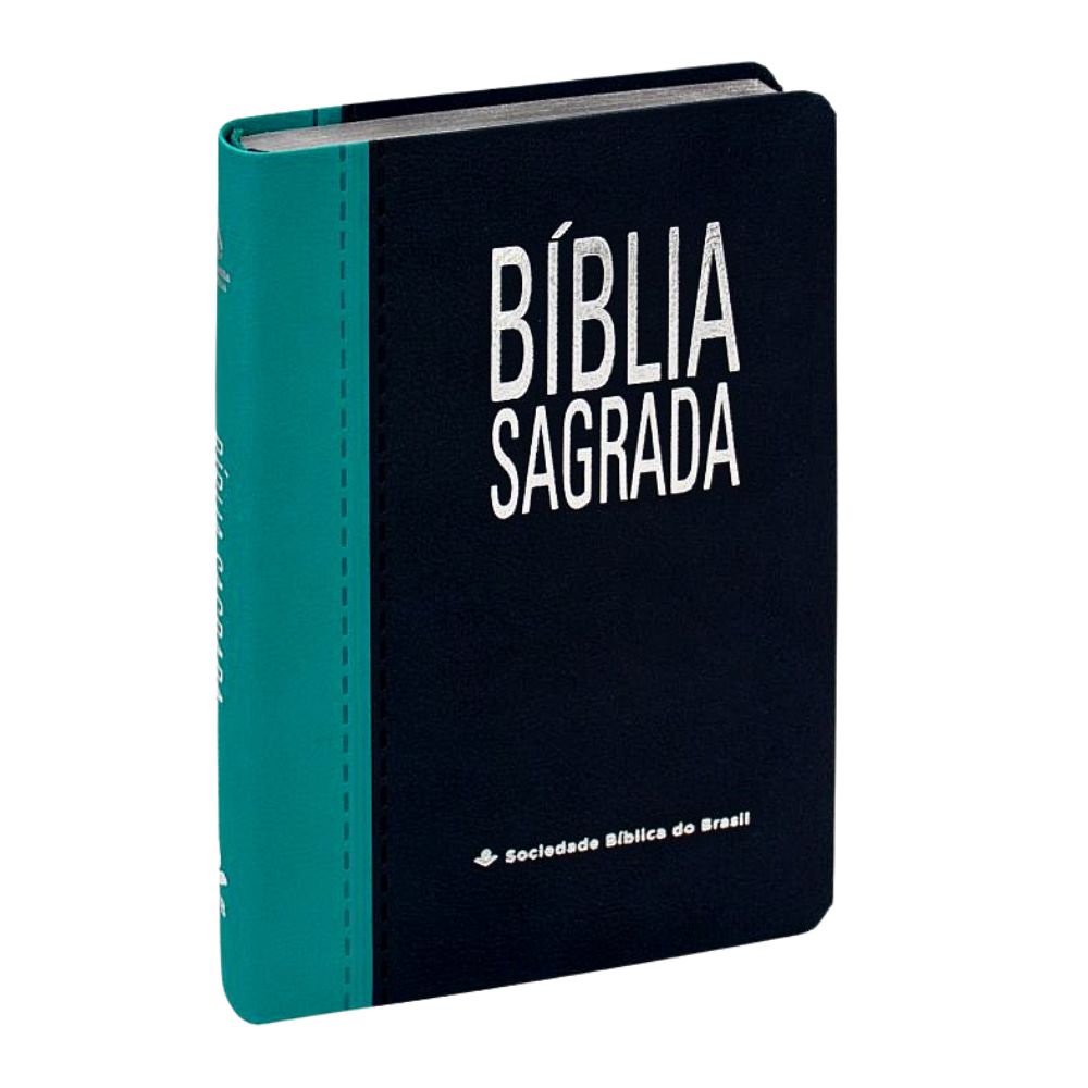 Bíblia Sagrada Nova Almeida Atualizada Letra Grande | Shopee Brasil
