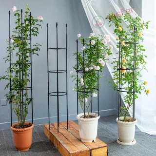 SOSFER Garden Treliças , Plantas Em Vasos De Apoio À Planta Trepadeiras De Jardim Casa Plásticas Verticais De Rosas Para O Exterior