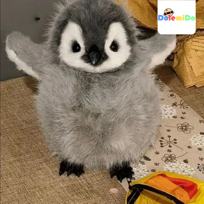 pinguim tem joelho em Promoção na Shopee Brasil 2023