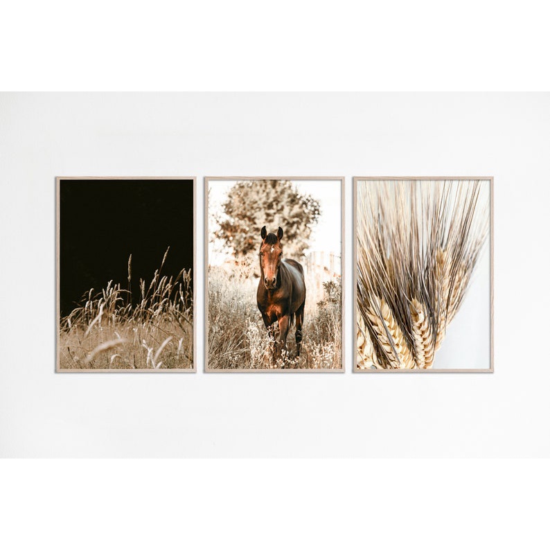 Quadro Decorativo cavalo Amimais , decoração casa Quadro Decorativo Cavalo tamanho grande Decoração para sala casa cozinha quarto Quadro decorativo Cavalo Moderno Decoração sala Quarto Retro arte #24