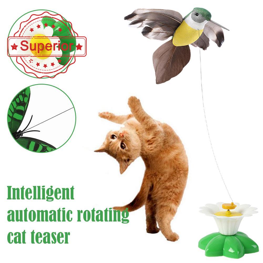 Simulação Pássaro Interativo Brinquedos Do Gato, Pendurado Águia Elétrica,  Jogo De Gato Voador, Stick Scratch Rope, Gatinho e Brinquedo Do Cão -  AliExpress