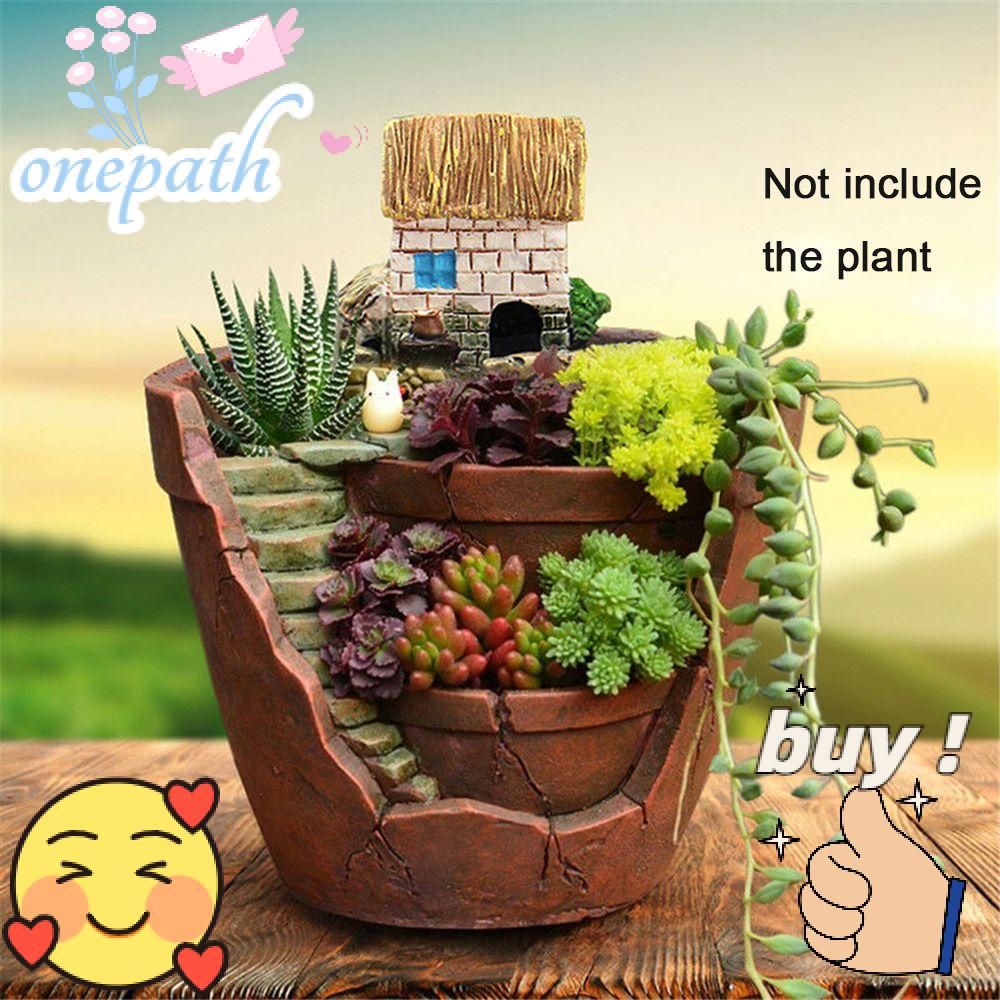 Um Jardim Céu Micro Paisagem Artificial Bonsai Cama De Suculenta Casa De Plantas