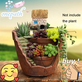 Um Jardim Céu Micro Paisagem Artificial Bonsai Cama De Suculenta Casa De Plantas
