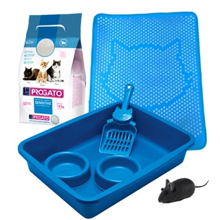 Kit Caixa de Areia Pá Comedouro e Bebedouro Brinquedo Ratinho Kit Higienico para Gatos