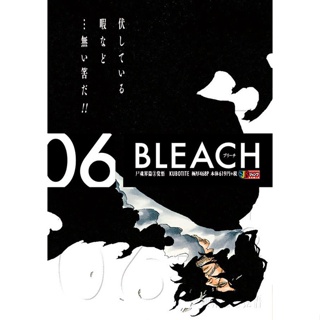 BLEACH REMIX 06 - PANINI