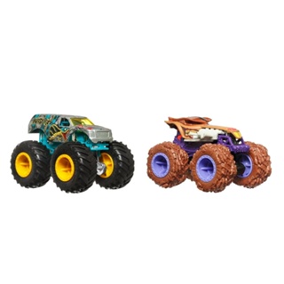 Hot Wheels Monster Trucks Pack de 2 Hissy e Ratical - Mattel