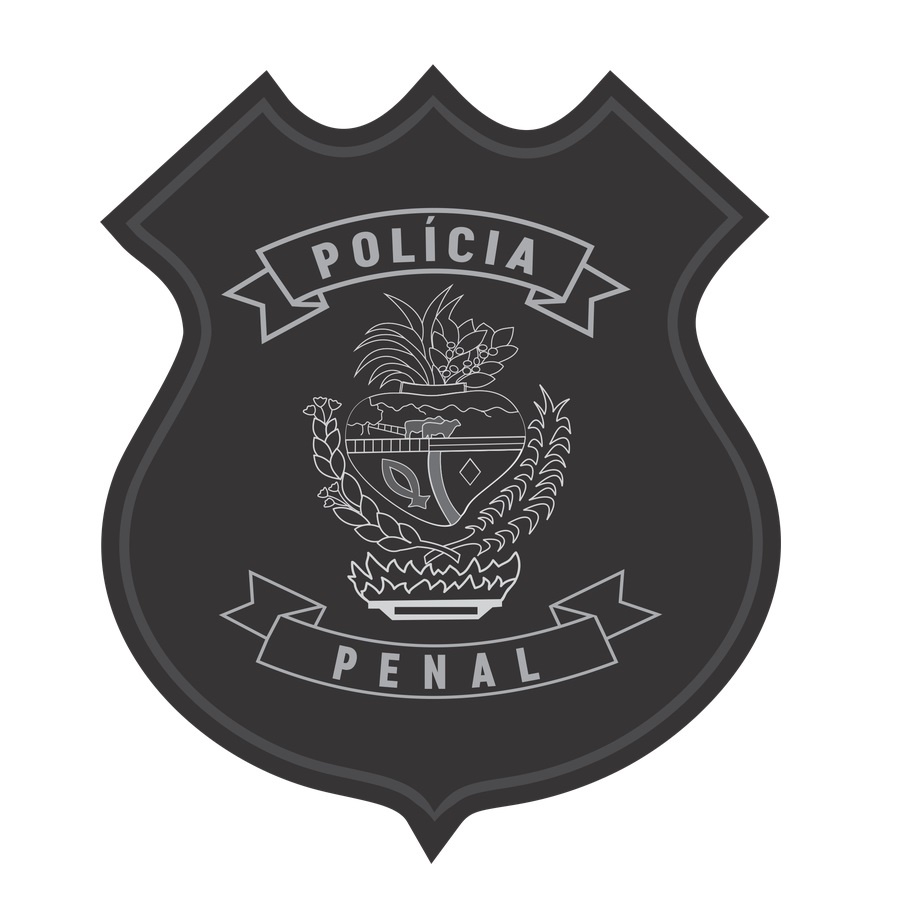 PATCH EMBORRACHADO BRASÃO POLÍCIA PENAL/ SP - BAIXA LUMINOSIDADE